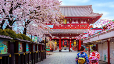 Discover Japan: Language and Culture for the Beginners