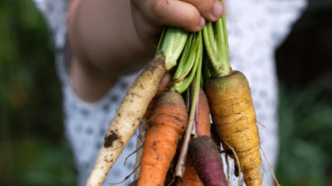 Free Kids Only 'Behind the Scenes' Northside Produce Market Tours