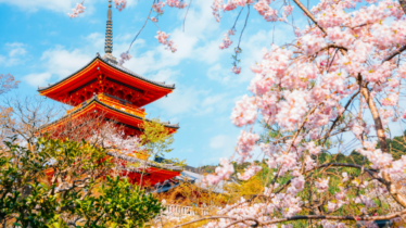 Discover Japan: Language and Culture for the Beginners